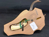 Hertengewei op houten schild - afbeelding 5 van  5