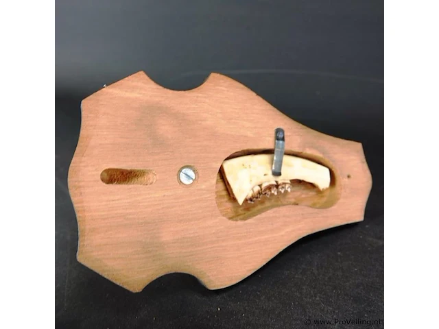 Hertengewei op houten schild - afbeelding 5 van  5
