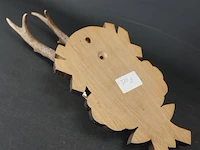 Hertengewei op houten schild - afbeelding 5 van  5