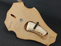 Hertengewei op houten schild - afbeelding 5 van  5