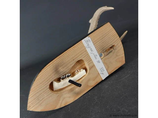 Hertengewei op houten schild - afbeelding 5 van  5