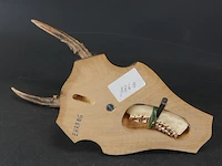 Hertengewei op houten schild - afbeelding 5 van  5