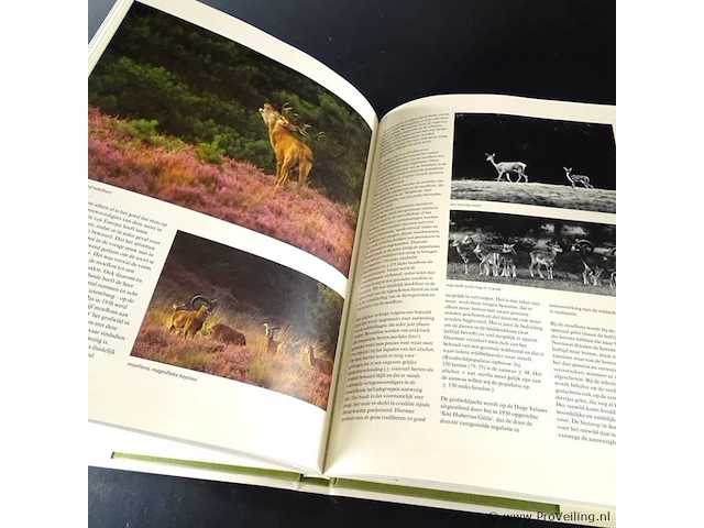 Het bewaarde landschap - afbeelding 3 van  5