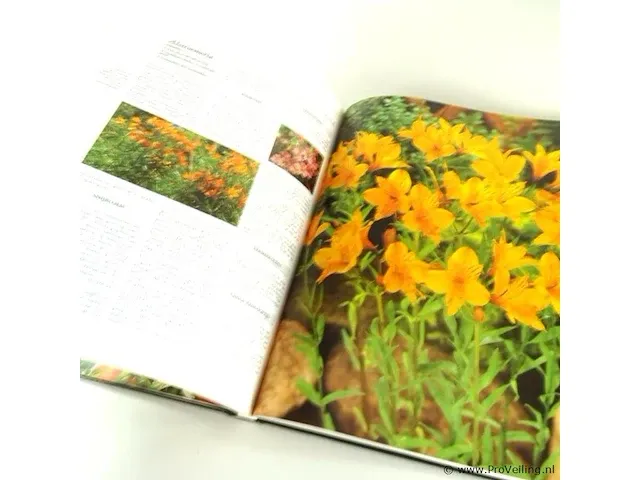 Het groene boek - afbeelding 4 van  5