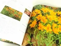 Het groene boek - afbeelding 4 van  5