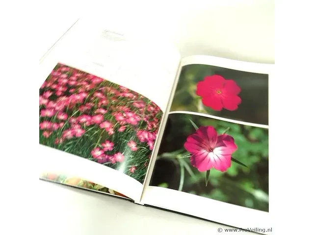 Het groene boek - afbeelding 5 van  5