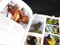 Het knotbomen boek - afbeelding 5 van  5