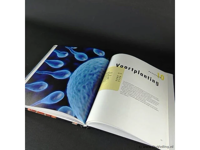 Het lichaam - afbeelding 3 van  5