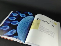 Het lichaam - afbeelding 3 van  5