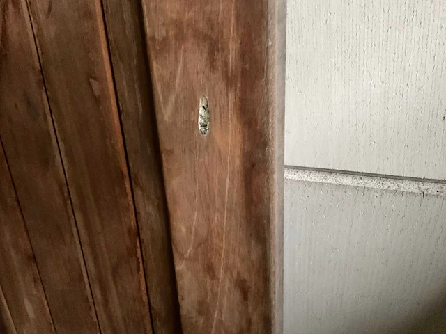 Hillhout hardhouten tuinpoort 180x90 cm - afbeelding 2 van  4