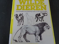 Hoe teken ik wilde dieren