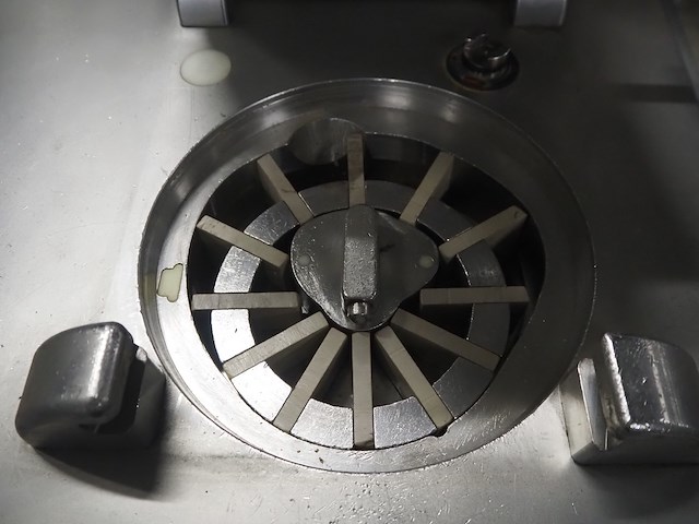 Hoegger alpina - afbeelding 2 van  16