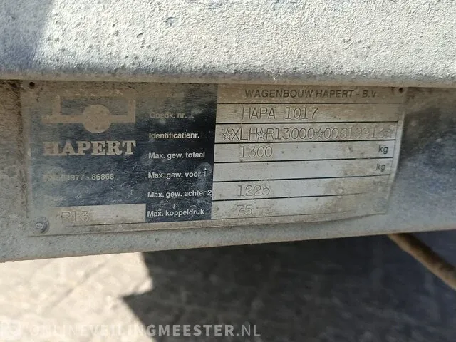 Hogedruk reiniger in aanhanger, hapert, r13 - afbeelding 4 van  13