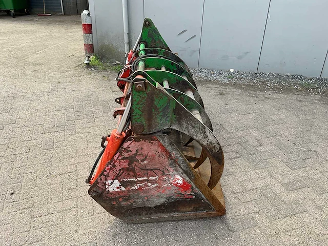 Holaras pelikaanbak - afbeelding 11 van  14