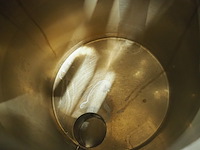 Holvrieka - afbeelding 7 van  10