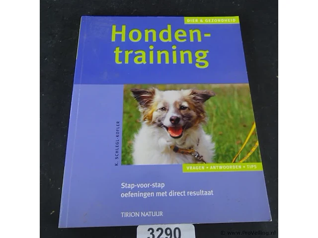 Honden training - afbeelding 1 van  5