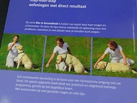 Honden training - afbeelding 2 van  5