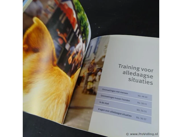 Honden training - afbeelding 4 van  5