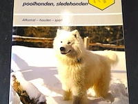 Honden uit het noorden. pool- en slede honden - afbeelding 1 van  5