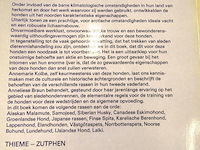 Honden uit het noorden. pool- en slede honden - afbeelding 2 van  5