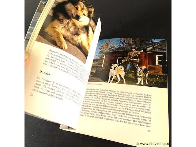 Honden uit het noorden. pool- en slede honden - afbeelding 4 van  5