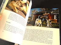 Honden uit het noorden. pool- en slede honden - afbeelding 4 van  5