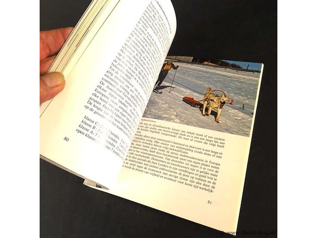 Honden uit het noorden. pool- en slede honden - afbeelding 5 van  5