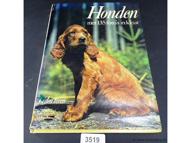 Honden - afbeelding 1 van  5
