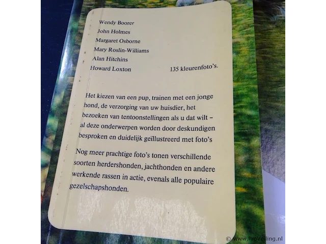 Honden - afbeelding 2 van  5