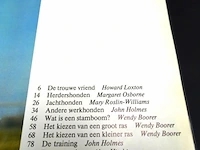 Honden - afbeelding 4 van  5