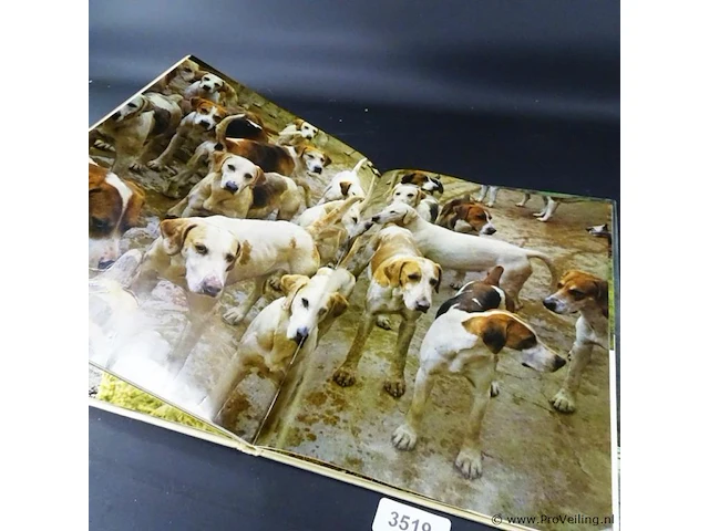 Honden - afbeelding 5 van  5