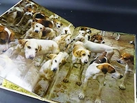 Honden - afbeelding 5 van  5