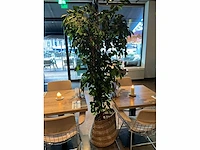 Horeca machines / meubilair o.a. hk living & okido - afbeelding 21 van  31