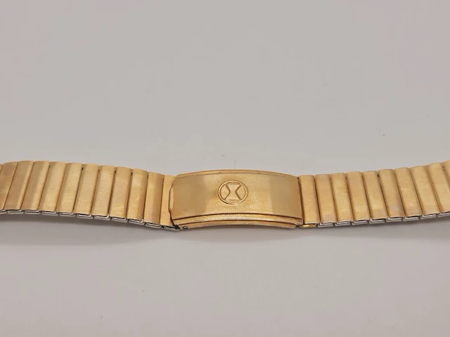 Horlogeband - favre leuba - brevete marque - americ - afbeelding 1 van  6