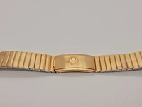 Horlogeband - favre leuba - brevete marque - americ - afbeelding 1 van  6