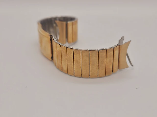 Horlogeband - favre leuba - brevete marque - americ - afbeelding 4 van  6
