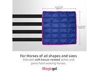 Horse ice pack cooling leg wraps voor hock enkel knee benen laarzen en hoeven. (twin ice boot by magic gel) - afbeelding 5 van  5