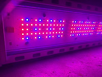 Hortilux hortiled top 120v19 belichtingsmateriaal (100x) - afbeelding 8 van  11