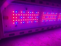 Hortilux hortiled top 120v19 belichtingsmateriaal (13x) - afbeelding 6 van  11