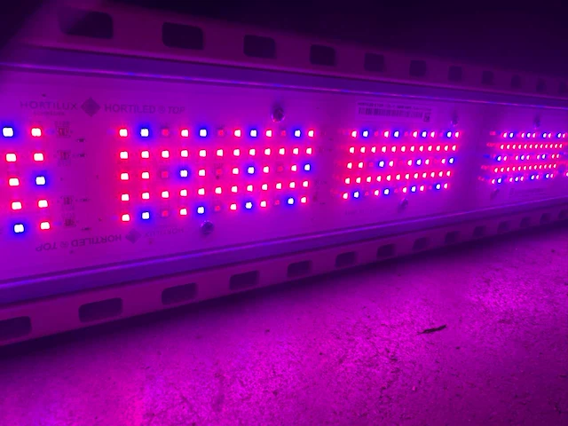 Hortilux hortiled top 120v19 belichtingsmateriaal (13x) - afbeelding 2 van  11