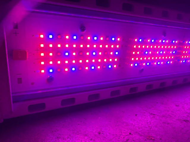 Hortilux hortiled top 120v19 belichtingsmateriaal (13x) - afbeelding 6 van  11