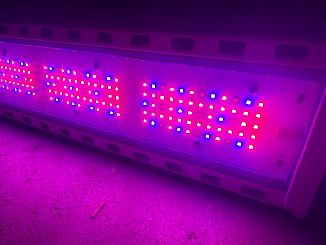 Hortilux hortiled top 120v19 belichtingsmateriaal (3x) - afbeelding 7 van  11