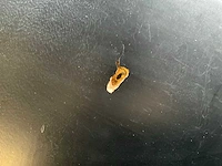 Houten eetkamertafel - afbeelding 2 van  11