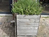 Houten plantenbak incl. planten - 124x60x90cm - afbeelding 3 van  4