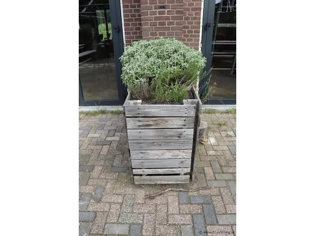 Houten plantenbak incl. planten - 124x60x90cm - afbeelding 3 van  4