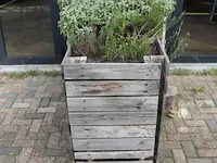 Houten plantenbak incl. planten - 124x60x90cm - afbeelding 3 van  4