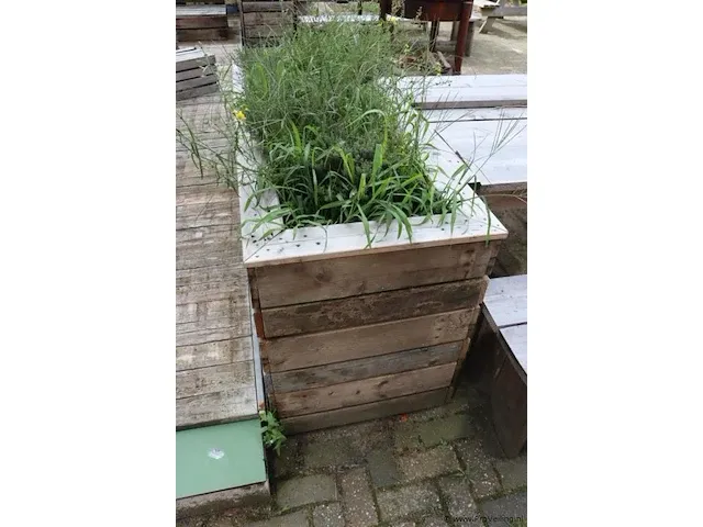 Houten plantenbak incl. planten - 175x65x80cm - afbeelding 4 van  4