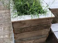 Houten plantenbak incl. planten - 175x65x80cm - afbeelding 4 van  4