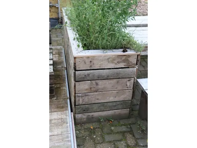 Houten plantenbak incl. planten - 175x65x80cm - afbeelding 1 van  3