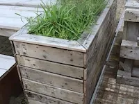 Houten plantenbak incl. planten - 175x65x80cm - afbeelding 3 van  3